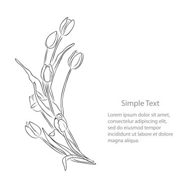 Lale çiçek Çizim 1