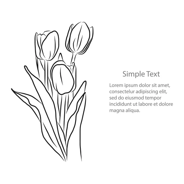 Tulipán květy obrázek 2 — Stockový vektor