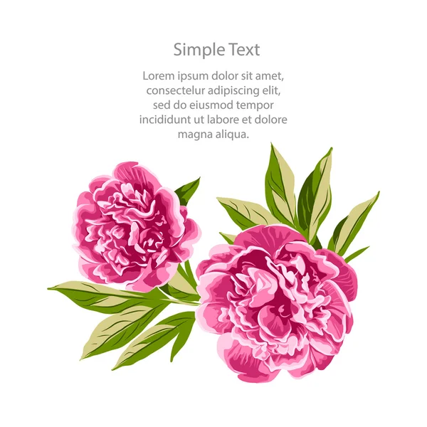 Couleurs Pivoine Fleurs Illustration 1 — Image vectorielle