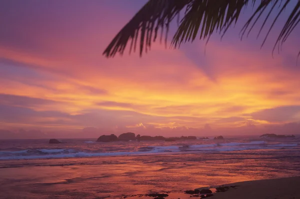 Trópusi napnyugta Srí Lanka-i — Stock Fotó