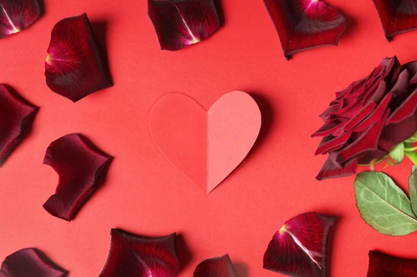 Rosa roja oscura, pétalos y un corazón de papel — Foto de Stock