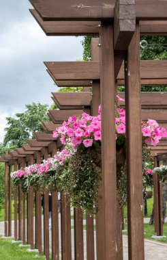 Koyu renk ahşaptan bahçeler, beyaz ve pembe çiçeklerle süslenmiş saksılar.