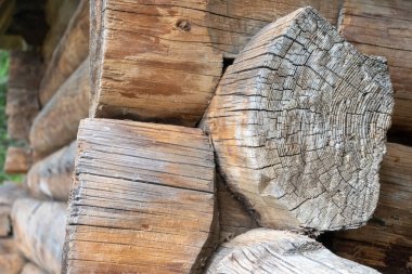 Kesilen köknar ağaçlarının gövdeleri... Karpatlar 'ın ahşap bir köyünün köşesini oluşturuyor.