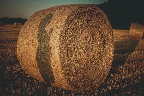 yığın