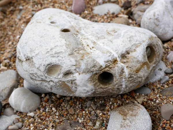 Sahildeki bir kayanın yakın çekimi.