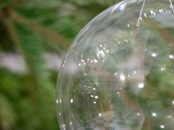 Işıklı noel ağacı ve beyaz arka planlı bir noel ağacının yeşil topları.