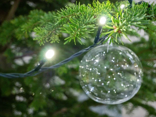 Ormandaki noel ağacı, Noel süslemeleri ışıklandırmalı noel ağacı süslemeli ve ışıklandırmalı.