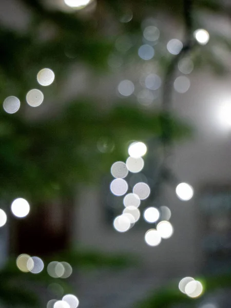 Arka planda bulanık noel ışıklarıyla yeşil noel ağacı köknar ağacından sarkan noel balosuyla süslenmiş yeşil noel ağacı dalları cam yeşil noel ağacı dalları çelenkli noel ağacı dalları