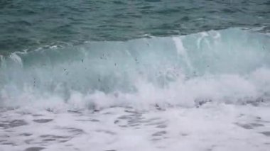 Güçlü bir okyanus dalgası dramatik bir yakın çekim ile sahile çarpar. Temiz turkuaz su, beyaz deniz köpüğü ve dinamik sıçramalar enerjik ve ferahlatıcı bir kıyı manzarası yaratır. Doğa, seyahat, rahatlama, çevre veya deniz manzaraları.