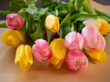 Ahşap bir yüzeyde renkli laleler, bir buket beyaz laleler, sarı ve kırmızı