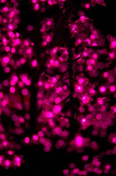 Bokeh