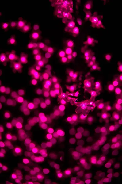 Bokeh