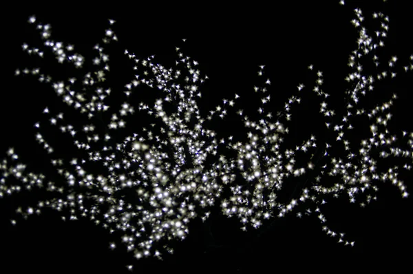 Bokeh