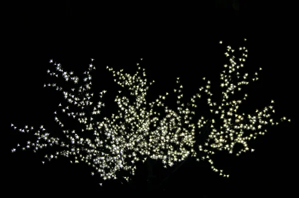 Bokeh