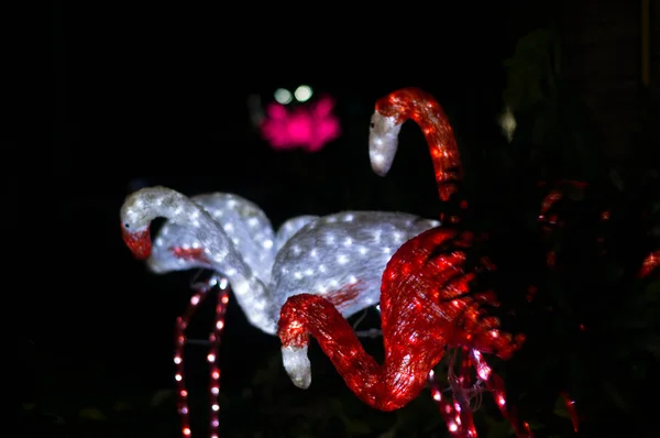 Bokeh