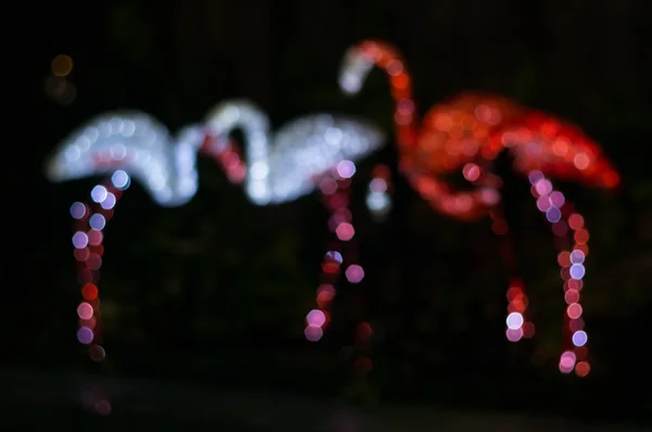 Bokeh