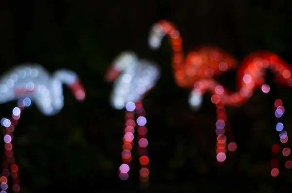 Bokeh