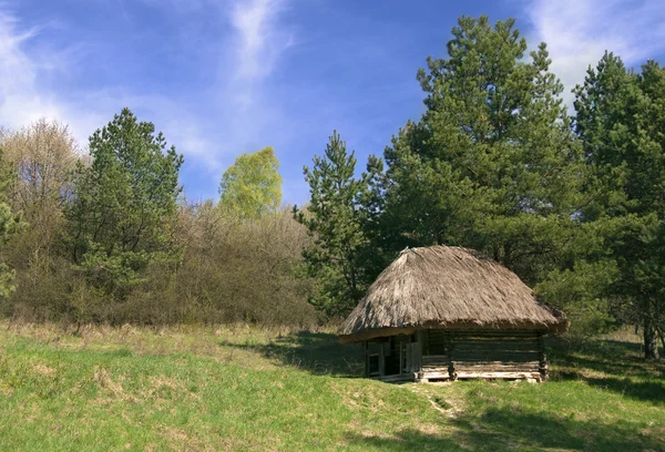 Стара маленька дерев'яна хатина в лісі — стокове фото