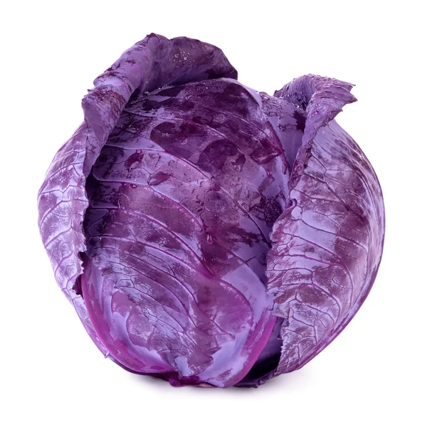 Wet red cabbage — Stock Photo, Image
