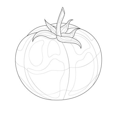 Domates. Çocuklar ve yetişkinler için boyama kitabı antistresi. Zen-karmaşası. Siyah-beyaz çizim.