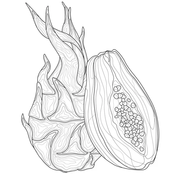 Drakfrukt Och Papaya Målarbok Antistress För Barn Och Vuxna Illustration — Stock vektor