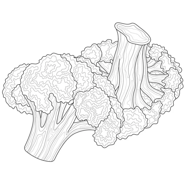 Broccoli Verdure Libro Colorare Antistress Bambini Adulti Stile Zen Groviglio — Vettoriale Stock