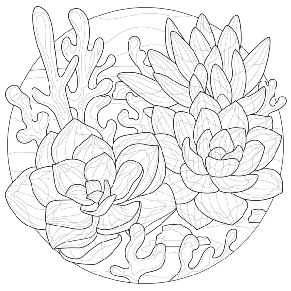Succulents Målarbok Antistress För Barn Och Vuxna Illustration Isolerad Vit — Stock vektor