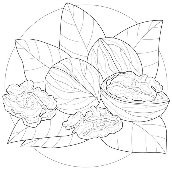 Walnuts Leaves Coloring Book Antistress Children Adult 배경에 Zen Tangle — 스톡 벡터