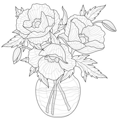 Vazoda bir buket haşhaş. Çocuklar ve yetişkinler için boyama kitabı antistresi. Resimler beyaz arka planda izole edildi. Zen-karmaşası tarzı. Siyah beyaz çizim