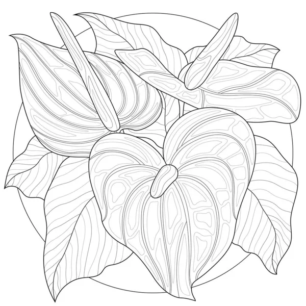 Callas Fleuris Livre Colorier Antistress Pour Enfants Adultes Zen Tangle — Image vectorielle