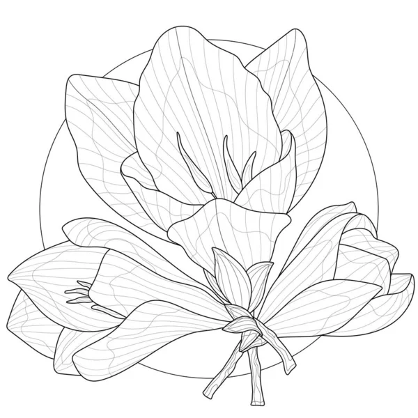 Freesia Flores Libro Para Colorear Antiestrés Para Niños Adultos Ilustración — Vector de stock