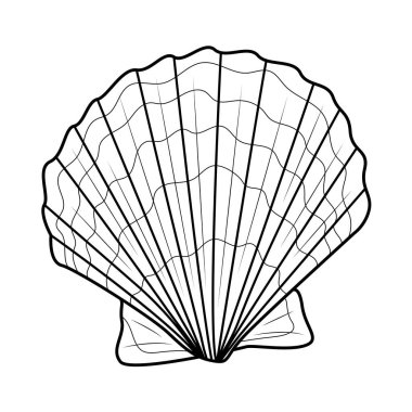 Deniz kabuğu. Çocuklar ve yetişkinler için boyama kitabı. Resimler beyaz arka planda izole edildi. Zen-karmaşası tarzı. Siyah beyaz çizim