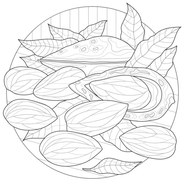 Almond Nuts Färgläggning Bok Antistress För Barn Och Vuxna Illustration — Stock vektor
