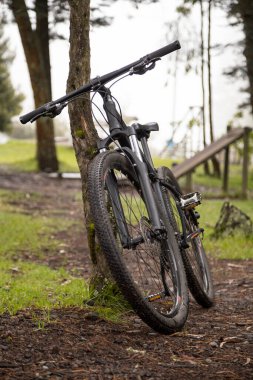 Ormanın ortasında tahta korkuluklara dayanan bir bisikletin detayları, sağlıklı aktiviteler