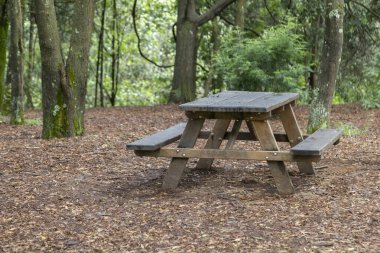 Sonbaharda ormanın ortasında bankları ve piknik mobilyaları olan kırsal ahşap bir masa.