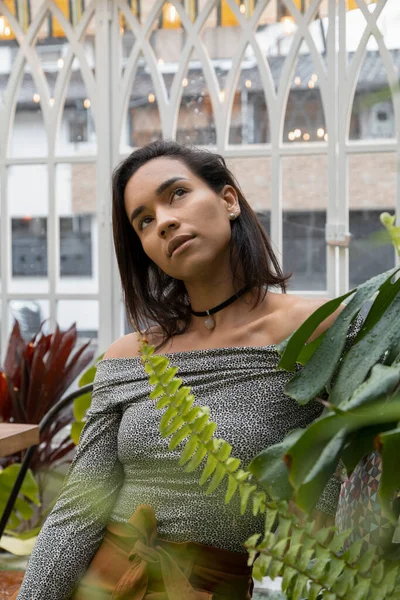 Çekici esmer kadın, kısa saçlı genç Latin, gündelik kıyafetler giyiyor, bitkilerinin yanında bitkiler var.