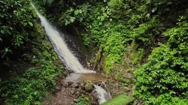 Canlı bir orman şelalesi yosunlu kayaların üzerine düşer ve yoğun bitki yaşamı ve nem ile çevrili sakin bir doğal manzara yaratır..