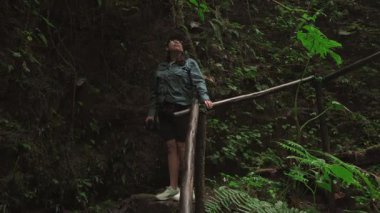 Bir kadın yemyeşil bir orman patikasında duruyor, hayranlıkla yukarıya bakarken tahta bir korkuluk tutuyor, doğada huzurlu bir keşif anını yakalıyor..