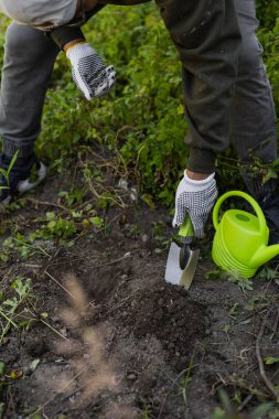 Tohum ekmek için bir delik açmak için kürekle toprağı temizleyen, hazırlık, çaba ve bahçe işleriyle uğraşan birinin yakın plan çekimi..