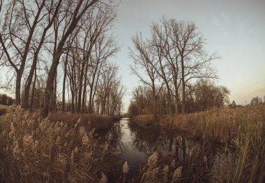 Serin bir sonbahar gününün altın tarlalarından geçen sakin bir dere.