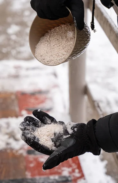 Rock Salt Ice Melt Being Spread Your Walkway Melt Ice — Stock Photo, Image