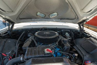 Columbus Anma Günü Şövalyeleri Hafta Sonu Klasik Araba ve Bisiklet Şovu, Clinton Township, Michigan, 05-30-2021