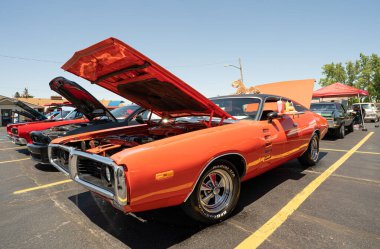 Columbus Anma Günü Şövalyeleri Hafta Sonu Klasik Araba ve Bisiklet Şovu, Clinton Township, Michigan, 05-30-2021