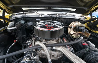 Metrokruvazörler 2021 Babalar Günü Araba Fuarı, Warren, Michigan, 06-20-2021