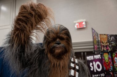 Ann Arbor Michigan 'da Astronomi 4, 8-21-21