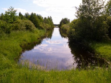 Orman ve ağaçların arasındaki saf mavi göl.