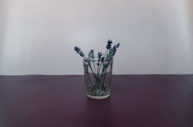 Dal ve kurumuş lavanta çiçekleri şeffaf cam bir arka planda.