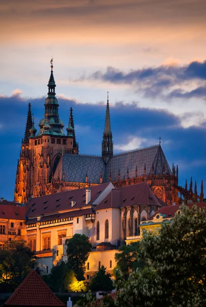 Cathédrale Saint-Vitus, Prague, République tchèque — Photo