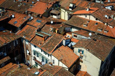 Ayrıntı görünümü, çatıları Lucca şehir, Toskana, İtalya.