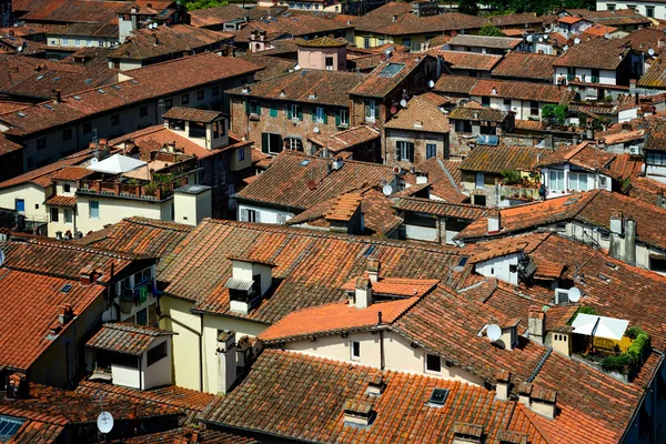 Detailansicht auf den Dächern der Stadt Lucca, Toskana, Italien. — Stockfoto